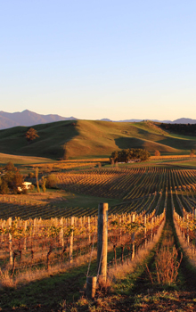 Marlborough Marlborough