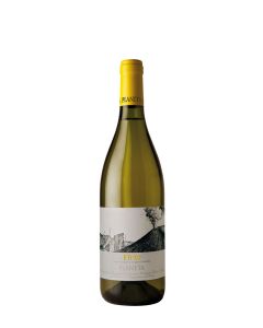 2023 Planeta Etna Bianco