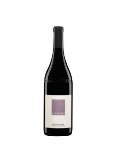 2024 Sandrone Dolcetto d'Alba