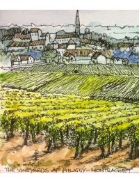 Introduction to White Burgundy, Tues June 21st