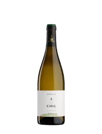 2023 A Coroa Godello