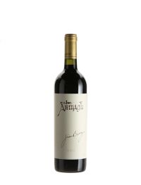 2021 Jim Barry Armagh Shiraz