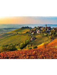 The Epic 2021 Barolos, Tues 21st October