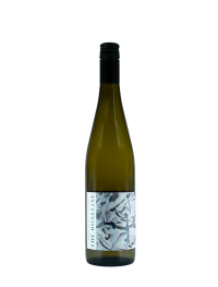 2024 Boneline Plesiosaur Waipara Dry Riesling