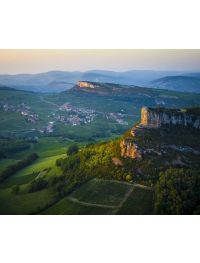 Single Vineyard White Burgundy - Tues 10th June