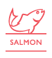 with SALMON