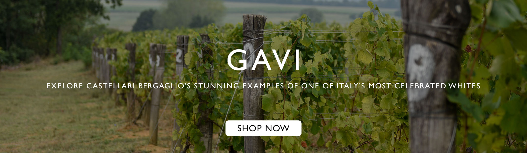 Gavi