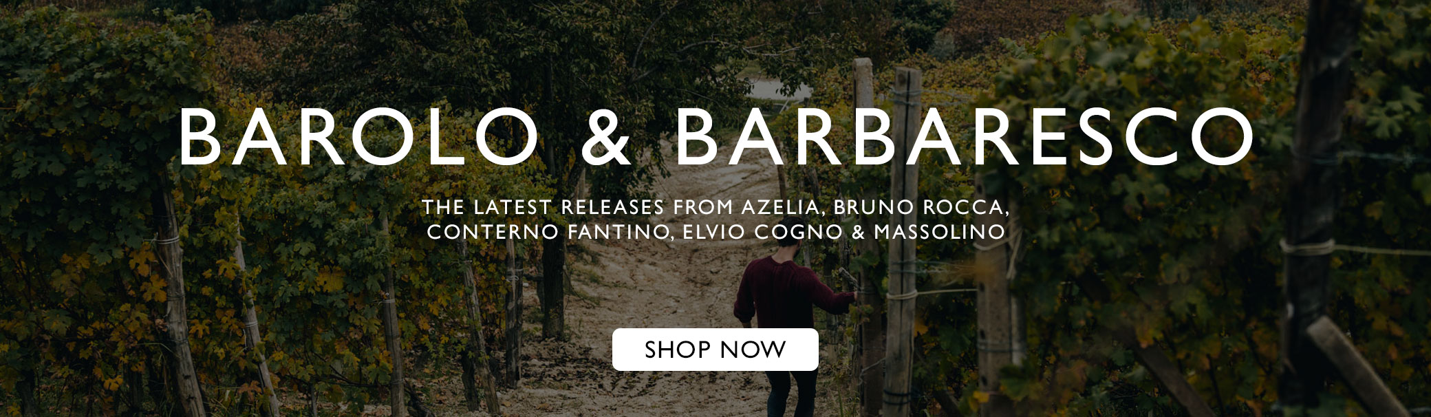 Barolo & Barbaresco
