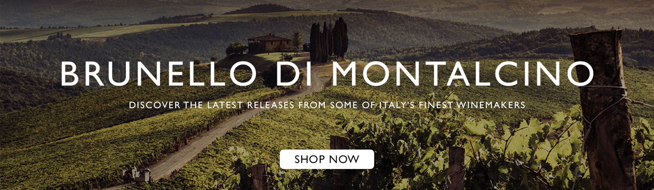 Brunello