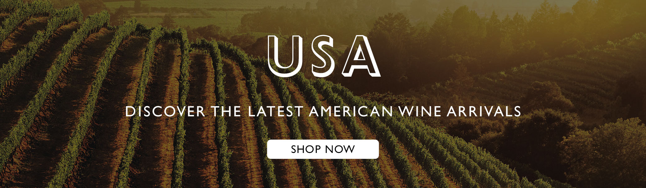 USA Arrivals