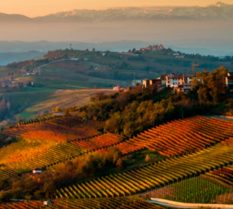 Barbaresco