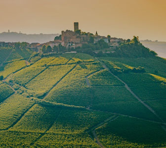 Barolo