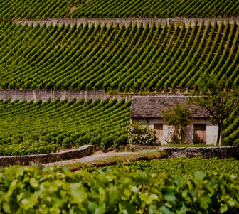 Rhone Offer