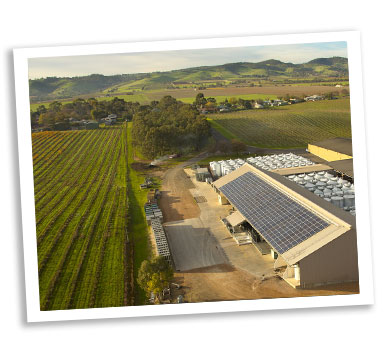 Solar panels at Heartland